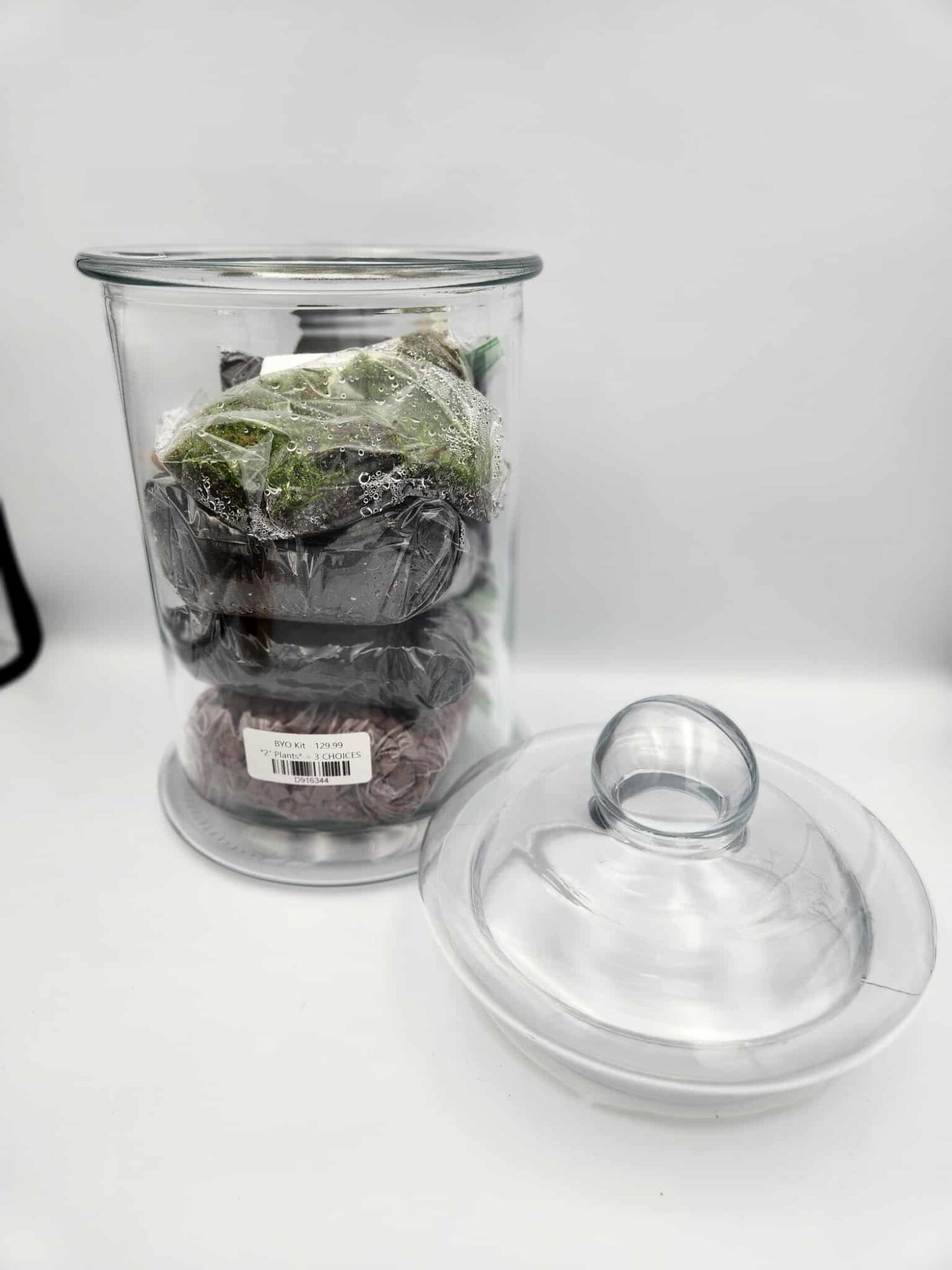 Build Your Own Terrarium Kit $129.99 - Image 4